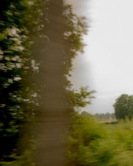 solidarity is a weapon